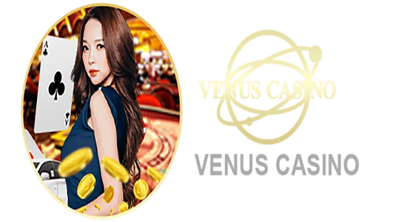 9RBET Informações básicas sobre o saguão do cassino Venus